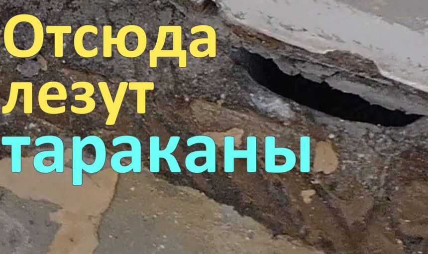 Причины появления тараканов в квартире